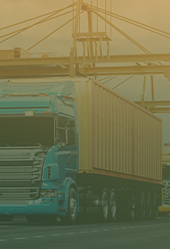 Northcliff Transport Ltd management team