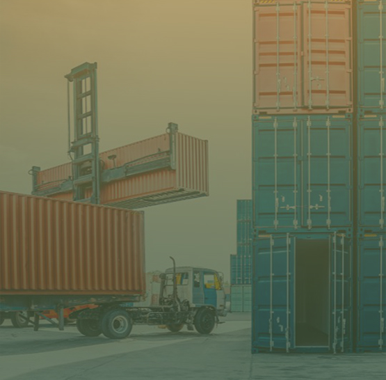 Northcliff Transport Ltd team and operations